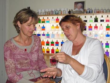francis smulders individueel consult